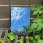 17号『秋の七草』